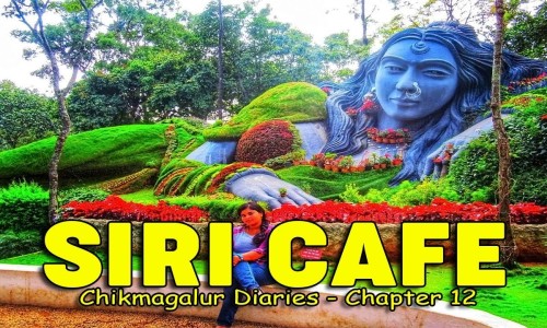 夏天胶囊有什么作用-【夏天胶囊粘成一坨还能吃吗】夏天胶囊软了可以吃吗有毒吗 - 夏天胶囊软了可以吃吗网
